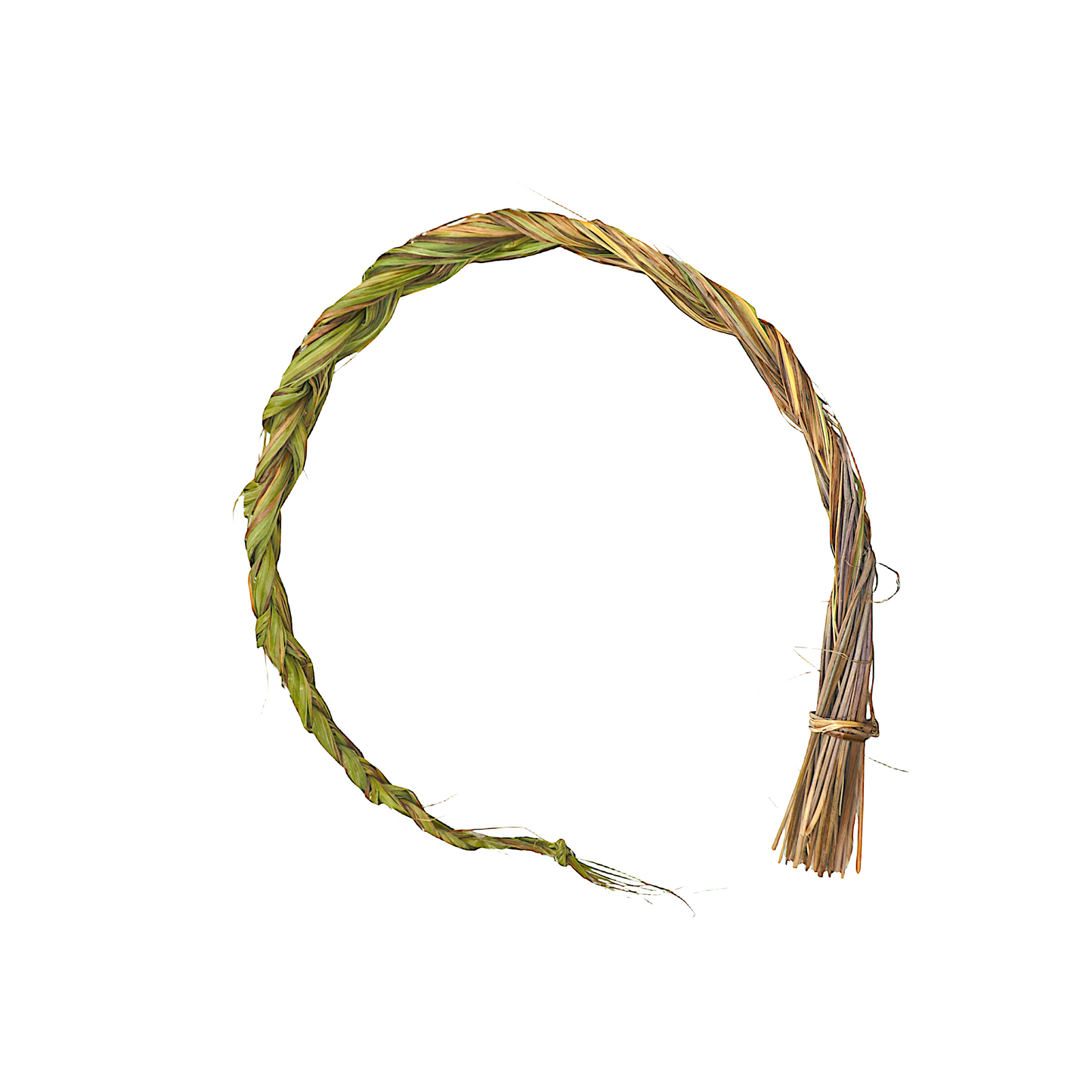 Canadian Sweetgrass Braid – 100% Natural & Handpicked | 24–30” Sacred Braid for Smudging, Spiritual Use, and Earth-Inspired Decor