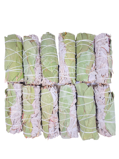 Refreshing Harmony: White Sage & Eucalyptus Revitalizing Blend