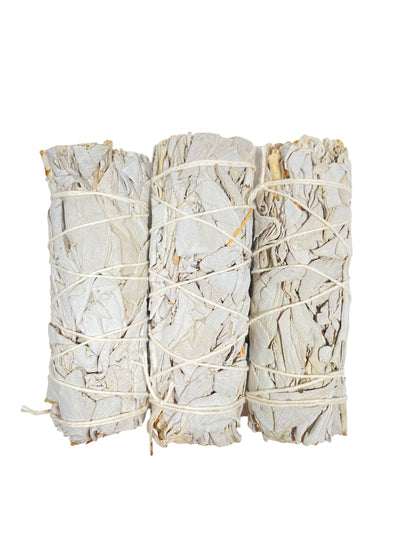 Natural White Sage Smudge Stick - 4" | Cleansing Bundle for Energy & Home | Sacred Aroma