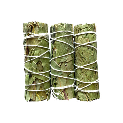 Refreshing Breeze: Pure Eucalyptus Smudge Stick